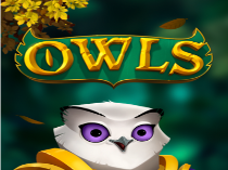 Owls